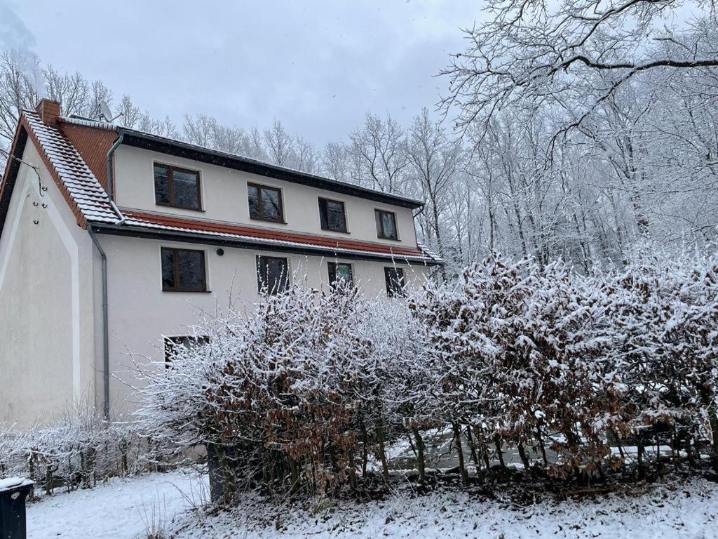 Apartment Am Hochwald Reinhardtsdorf-Schona ภายนอก รูปภาพ