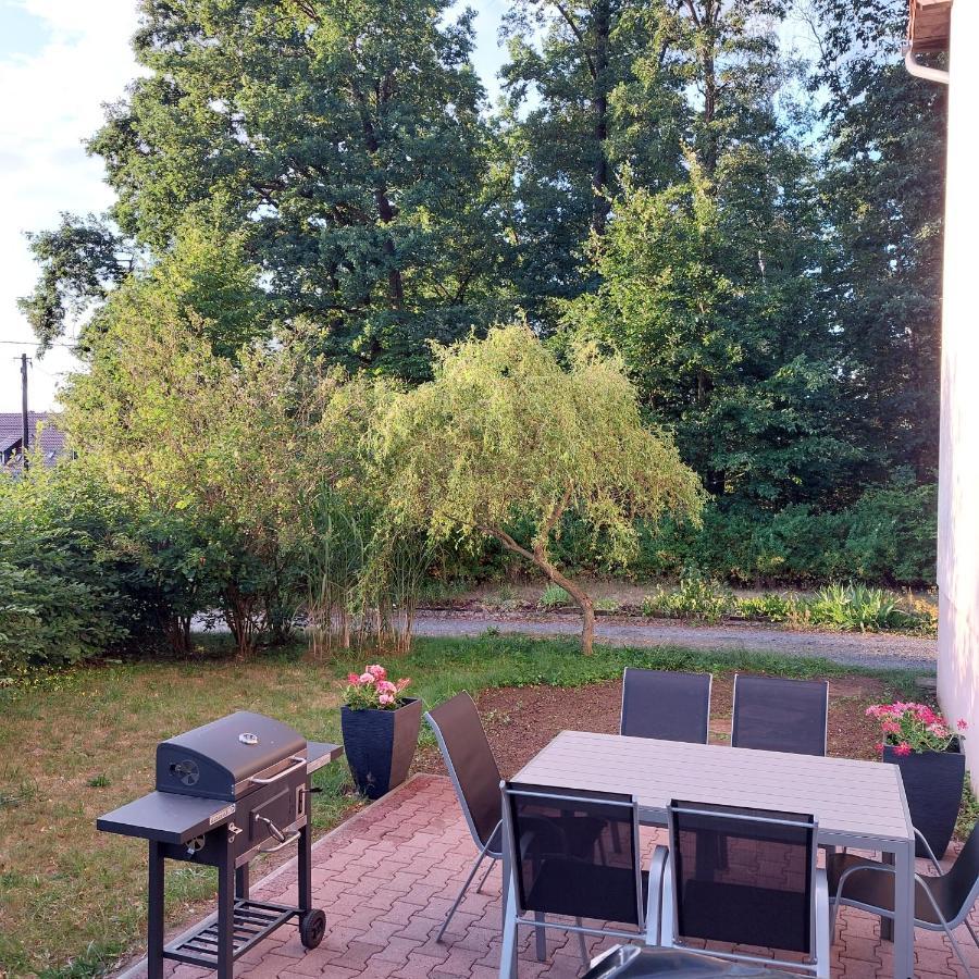 Apartment Am Hochwald Reinhardtsdorf-Schona ภายนอก รูปภาพ